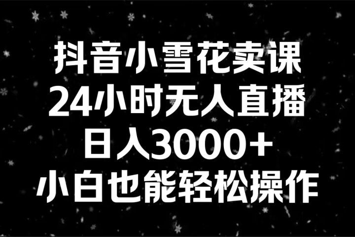 抖音小雪花卖课，24小时无人直播，日入3000+,小白也能轻松操作四海领钱-网创-知识付费-网创项目资源站-副业项目-创业项目-搞钱项目四海领钱