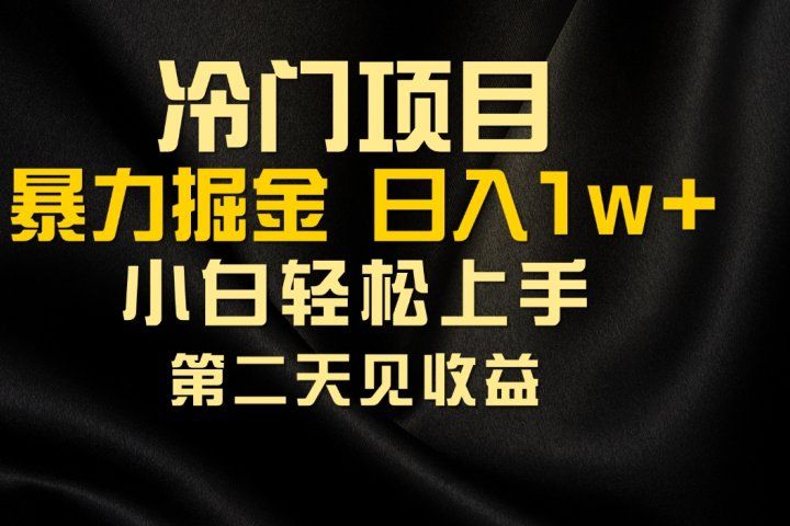 冷门项目，靠一款软件日入10000+暴力掘金小白轻松上手，第二天见收益四海领钱-网创-知识付费-网创项目资源站-副业项目-创业项目-搞钱项目四海领钱