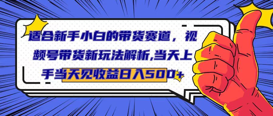 适合新手小白的带货赛道，视频号带货新玩法解析,当天上手当天见收益，日入500+四海领钱-网创-知识付费-网创项目资源站-副业项目-创业项目-搞钱项目四海领钱