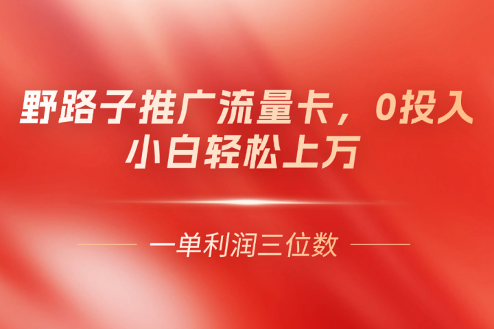 野路子推广流量卡，一单利润上百，0投入，小白月利润上万四海领钱-网创-知识付费-网创项目资源站-副业项目-创业项目-搞钱项目四海领钱