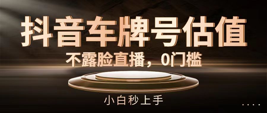 抖音车牌号估值，不露脸直播，0门槛，小白秒上手四海领钱-网创-知识付费-网创项目资源站-副业项目-创业项目-搞钱项目四海领钱
