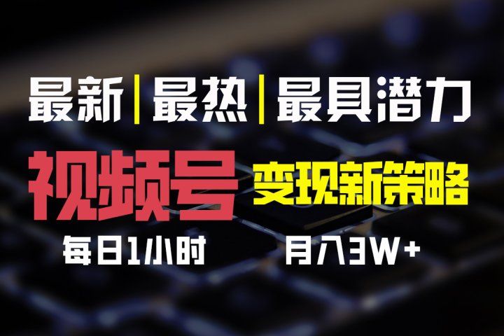 视频号变现新策略，每日一小时月入30000+四海领钱-网创-知识付费-网创项目资源站-副业项目-创业项目-搞钱项目四海领钱