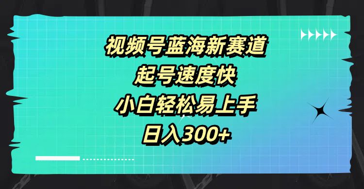视频号蓝海新赛道，起号速度快，小白轻松易上手，日入300+四海领钱-网创-知识付费-网创项目资源站-副业项目-创业项目-搞钱项目四海领钱