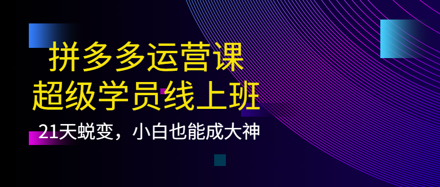 拼多多运营课：超级学员线上班，21天蜕变，小白也能成大神四海领钱-网创-知识付费-网创项目资源站-副业项目-创业项目-搞钱项目四海领钱