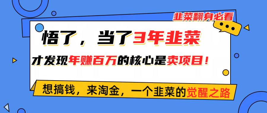 悟了，当了3年韭菜，才发现网赚圈年赚100万的核心是卖项目，含泪分享！四海领钱-网创-知识付费-网创项目资源站-副业项目-创业项目-搞钱项目四海领钱