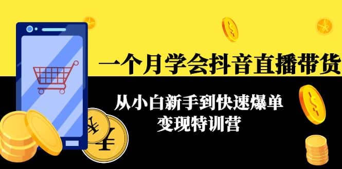 一个月学会抖音直播带货：从小白新手到快速爆单变现特训营(63节课)四海领钱-网创-知识付费-网创项目资源站-副业项目-创业项目-搞钱项目四海领钱