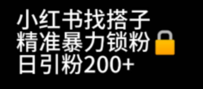 小红书找搭子暴力精准锁粉+引流日引200+精准粉四海领钱-网创-知识付费-网创项目资源站-副业项目-创业项目-搞钱项目四海领钱