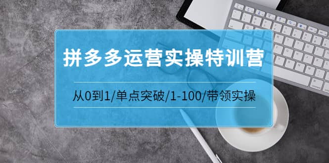 拼多多运营实操特训营：从0到1/单点突破/1-100/带领实操 价值2980元四海领钱-网创-知识付费-网创项目资源站-副业项目-创业项目-搞钱项目四海领钱