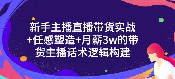 新手主播直播带货实战+信任感塑造+月薪3w的带货主播话术逻辑构建四海领钱-网创-知识付费-网创项目资源站-副业项目-创业项目-搞钱项目四海领钱