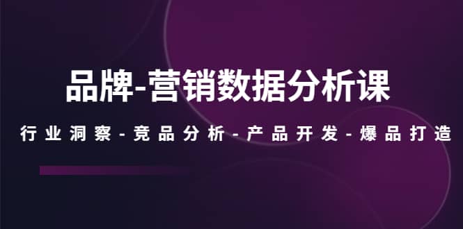 品牌-营销数据分析课，行业洞察-竞品分析-产品开发-爆品打造四海领钱-网创-知识付费-网创项目资源站-副业项目-创业项目-搞钱项目四海领钱