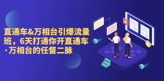 直通车+万相台引爆流量班，6天打通你开直通车·万相台的任督 二脉四海领钱-网创-知识付费-网创项目资源站-副业项目-创业项目-搞钱项目四海领钱