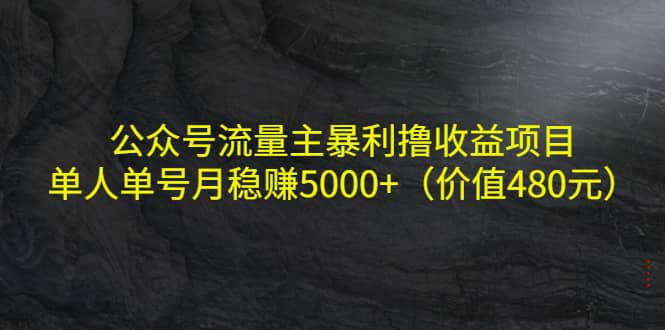 公众号流量主暴利撸收益项目，单人单号月稳赚5000+（价值480元）四海领钱-网创-知识付费-网创项目资源站-副业项目-创业项目-搞钱项目四海领钱