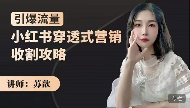 小红书穿透式营销收割攻略，引爆流量，助你玩转小红书四海领钱-网创-知识付费-网创项目资源站-副业项目-创业项目-搞钱项目四海领钱