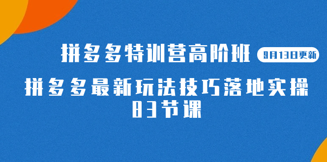 2023拼多多·特训营高阶班【9月13日更新】拼多多最新玩法技巧落地实操-83节四海领钱-网创-知识付费-网创项目资源站-副业项目-创业项目-搞钱项目四海领钱