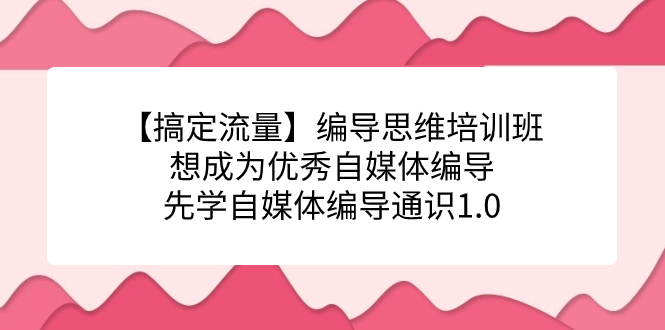 【搞定流量】编导思维培训班，想成为优秀自媒体编导先学自媒体编导通识1.0四海领钱-网创-知识付费-网创项目资源站-副业项目-创业项目-搞钱项目四海领钱