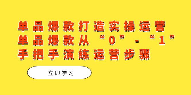 单品爆款打造实操运营，单品爆款从“0”-“1”手把手演练运营步骤四海领钱-网创-知识付费-网创项目资源站-副业项目-创业项目-搞钱项目四海领钱