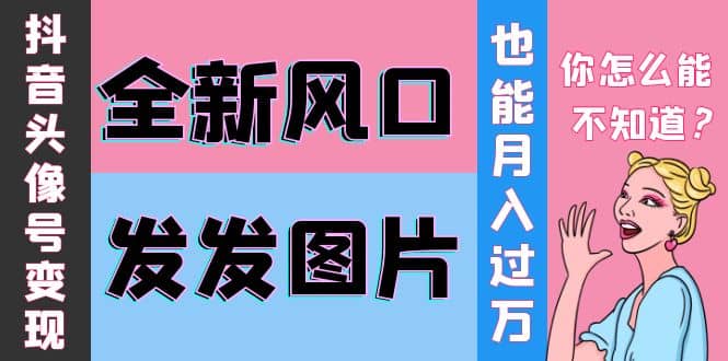 抖音头像号变现0基础教程四海领钱-网创-知识付费-网创项目资源站-副业项目-创业项目-搞钱项目四海领钱