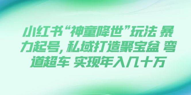 小红书“神童降世”玩法 暴力起号,私域打造聚宝盆 弯道超车 实现年入几十万四海领钱-网创-知识付费-网创项目资源站-副业项目-创业项目-搞钱项目四海领钱