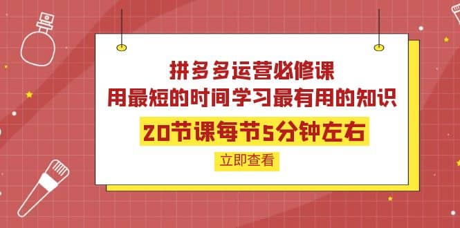 拼多多运营必修课：20节课每节5分钟左右，用最短的时间学习最有用的知识四海领钱-网创-知识付费-网创项目资源站-副业项目-创业项目-搞钱项目四海领钱