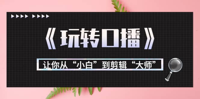 月营业额700万+大佬教您《玩转口播》让你从“小白”到剪辑“大师”四海领钱-网创-知识付费-网创项目资源站-副业项目-创业项目-搞钱项目四海领钱