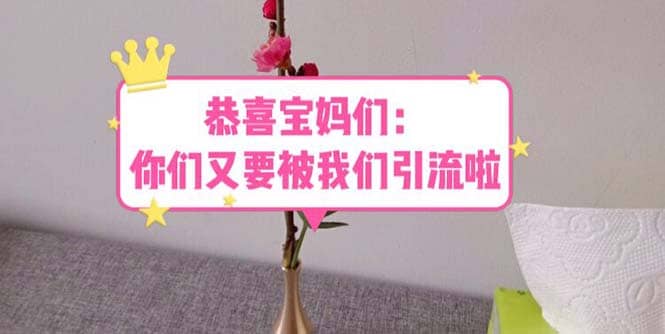 恭喜宝妈们：你们又要被我们引流了（教程+222g资料）四海领钱-网创-知识付费-网创项目资源站-副业项目-创业项目-搞钱项目四海领钱