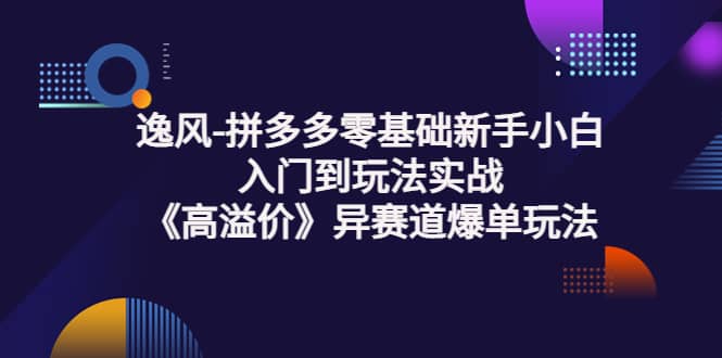 拼多多零基础新手小白入门到玩法实战《高溢价》异赛道爆单玩法实操课四海领钱-网创-知识付费-网创项目资源站-副业项目-创业项目-搞钱项目四海领钱
