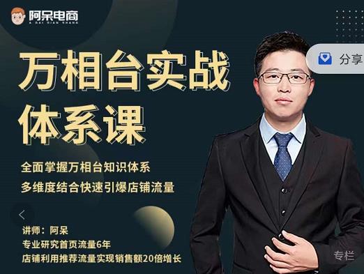 阿呆-万相台实战体系课，帮您全面掌握万相台知识体系四海领钱-网创-知识付费-网创项目资源站-副业项目-创业项目-搞钱项目四海领钱