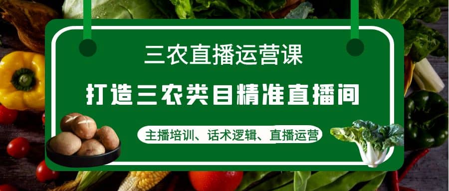 三农直播运营课：打造三农类目精准直播间，主播培训、话术逻辑、直播运营四海领钱-网创-知识付费-网创项目资源站-副业项目-创业项目-搞钱项目四海领钱