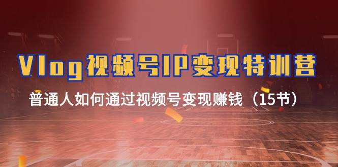 Vlog 视频号IP变现特训营，普通人如何通过视频号变现赚钱（15节）四海领钱-网创-知识付费-网创项目资源站-副业项目-创业项目-搞钱项目四海领钱