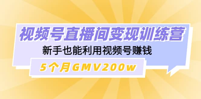 视频号直播间变现训练营四海领钱-网创-知识付费-网创项目资源站-副业项目-创业项目-搞钱项目四海领钱