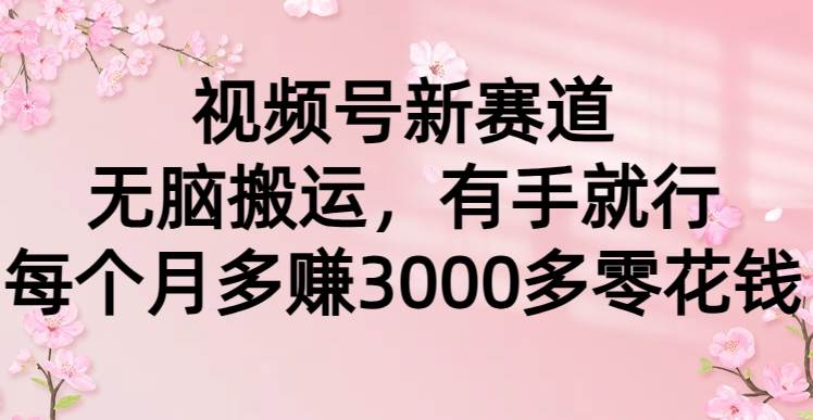 视频号新赛道，无脑搬运，有手就行，每个月多赚3000多零花钱四海领钱-网创-知识付费-网创项目资源站-副业项目-创业项目-搞钱项目四海领钱