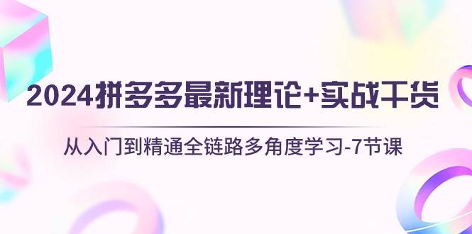 2024拼多多 最新理论+实战干货，从入门到精通全链路多角度学习-7节课四海领钱-网创-知识付费-网创项目资源站-副业项目-创业项目-搞钱项目四海领钱