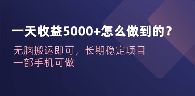 一天收益5000+怎么做到的？无脑搬运即可，长期稳定项目，一部手机可做四海领钱-网创-知识付费-网创项目资源站-副业项目-创业项目-搞钱项目四海领钱