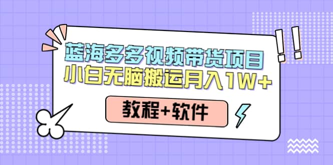 人人都能操作的蓝海多多视频带货项目 小白无脑搬运（教程+软件）四海领钱-网创-知识付费-网创项目资源站-副业项目-创业项目-搞钱项目四海领钱