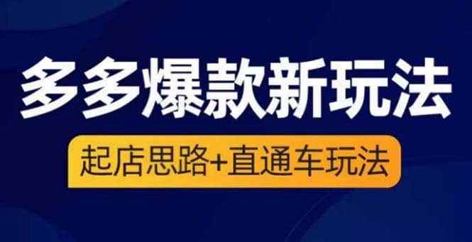 2023拼多多爆款·新玩法：起店思路+直通车玩法（3节精华课）四海领钱-网创-知识付费-网创项目资源站-副业项目-创业项目-搞钱项目四海领钱