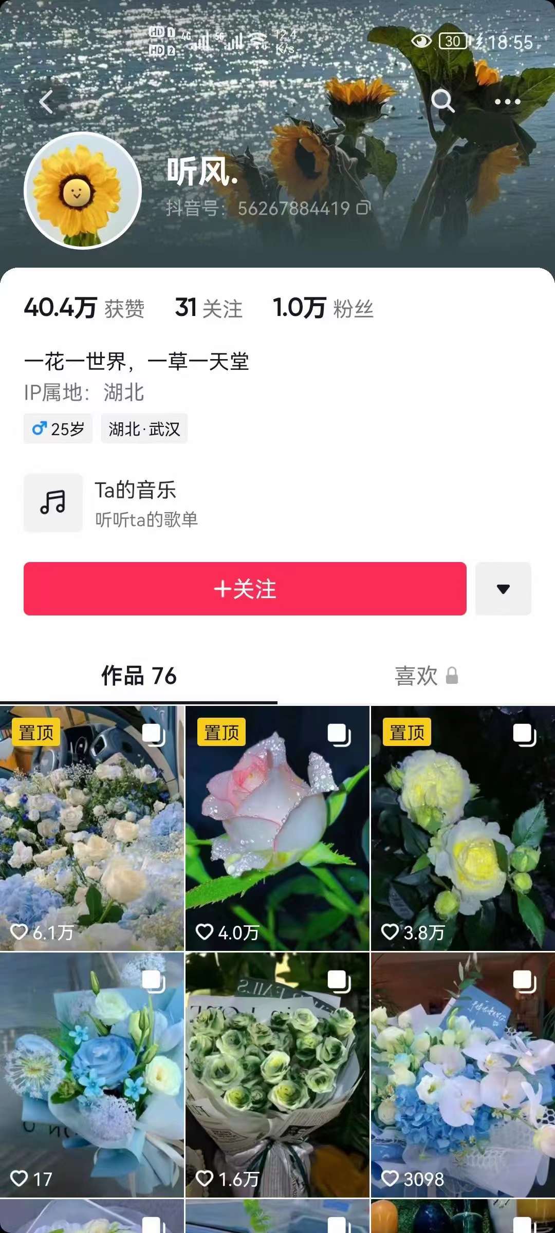 图片[2]四海领钱-网创-知识付费-网创项目资源站-副业项目-创业项目-搞钱项目抖音壁纸变现项目：实战日入380+发布壁纸素材获取收益！四海领钱-网创-知识付费-网创项目资源站-副业项目-创业项目-搞钱项目四海领钱