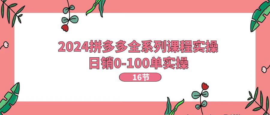2024拼多多全系列课程实操，日销0-100单实操【16节课】四海领钱-网创-知识付费-网创项目资源站-副业项目-创业项目-搞钱项目四海领钱