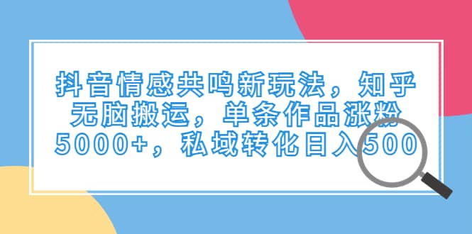 抖音情感共鸣新玩法，知乎无脑搬运，单条作品涨粉5000+，私域转化日入500四海领钱-网创-知识付费-网创项目资源站-副业项目-创业项目-搞钱项目四海领钱
