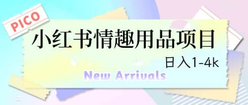 最新小红书情趣用品项目，日入1-4k四海领钱-网创-知识付费-网创项目资源站-副业项目-创业项目-搞钱项目四海领钱