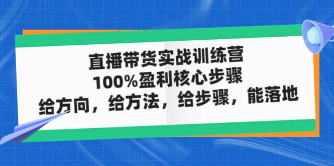 直播带货实战训练营：100%盈利核心步骤，给方向，给方法，给步骤，能落地四海领钱-网创-知识付费-网创项目资源站-副业项目-创业项目-搞钱项目四海领钱