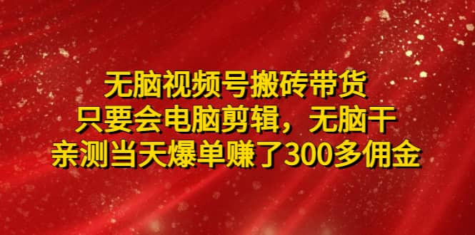 无脑视频号搬砖带货，只要会电脑剪辑，无脑干四海领钱-网创-知识付费-网创项目资源站-副业项目-创业项目-搞钱项目四海领钱