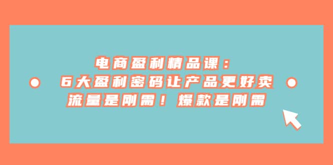 电商 盈利精品课：6大盈利 密码让产品更好卖，流量是刚需！爆款是刚需四海领钱-网创-知识付费-网创项目资源站-副业项目-创业项目-搞钱项目四海领钱