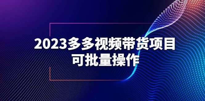 2023多多视频带货项目，可批量操作【保姆级教学】四海领钱-网创-知识付费-网创项目资源站-副业项目-创业项目-搞钱项目四海领钱