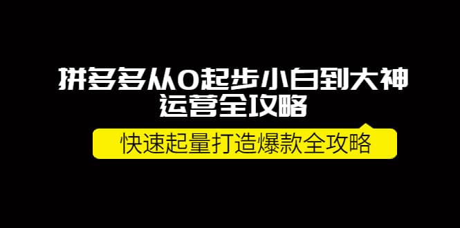 拼多多从0起步小白到大神运营全攻略四海领钱-网创-知识付费-网创项目资源站-副业项目-创业项目-搞钱项目四海领钱