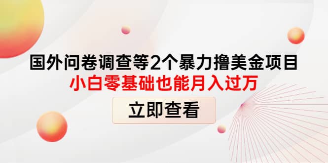 国外问卷调查等2个暴力撸美元项目，小白零基础也能月入过万四海领钱-网创-知识付费-网创项目资源站-副业项目-创业项目-搞钱项目四海领钱