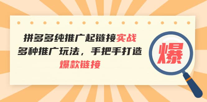 拼多多纯推广起链接实战：多种推广玩法，手把手打造爆款链接四海领钱-网创-知识付费-网创项目资源站-副业项目-创业项目-搞钱项目四海领钱