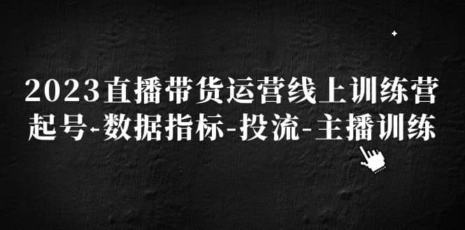 2023直播带货运营线上训练营，起号-数据指标-投流-主播训练四海领钱-网创-知识付费-网创项目资源站-副业项目-创业项目-搞钱项目四海领钱