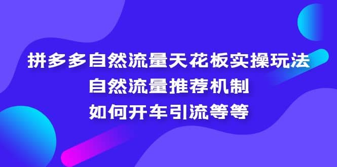 拼多多自然流量天花板实操玩法：自然流量推荐机制，如何开车引流等等四海领钱-网创-知识付费-网创项目资源站-副业项目-创业项目-搞钱项目四海领钱