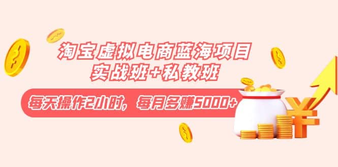 淘宝虚拟电商蓝海项目实战班+私教班四海领钱-网创-知识付费-网创项目资源站-副业项目-创业项目-搞钱项目四海领钱