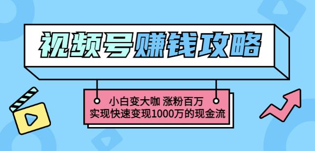 玩转微信视频号赚钱：小白变大咖涨粉百万实现快速变现1000万的现金流四海领钱-网创-知识付费-网创项目资源站-副业项目-创业项目-搞钱项目四海领钱